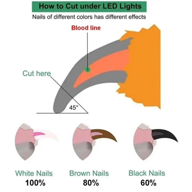 Pet Nail Clippers with LED Light Dogs Cat Nail Scissors - Image 6