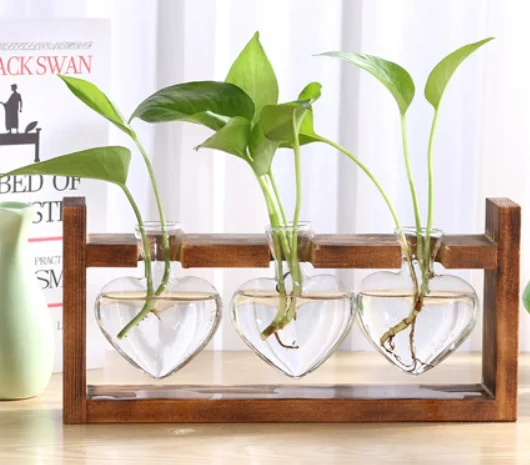 Glass Wood Vase Table Desktop Hydroponics Plant - Image 9