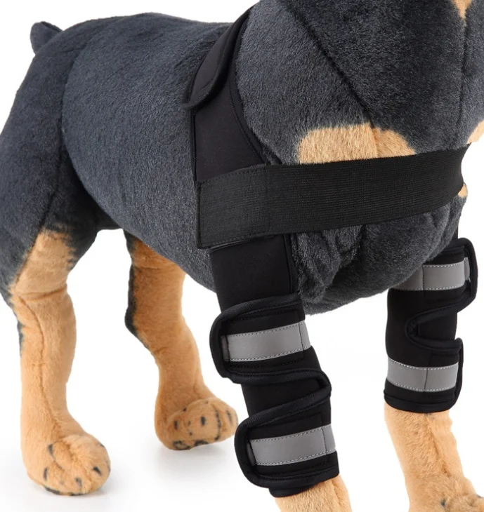 Pet Dog Knee Pads Support Brace 1pair - Image 2
