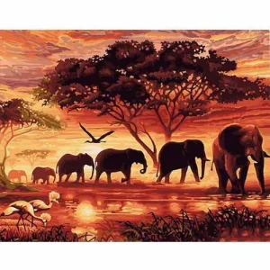 CHENISTORY Sunset Elephants Animals DIY Painting By