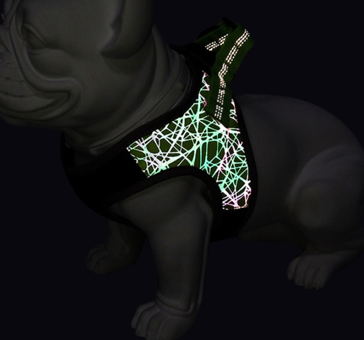 Dog Leash Vest Pet Harness Bullfight - Image 6