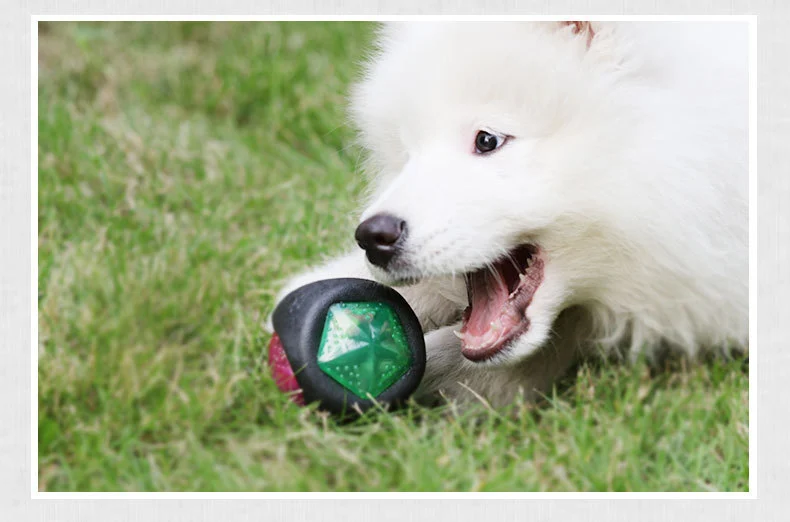 Dog toy ball - Image 2