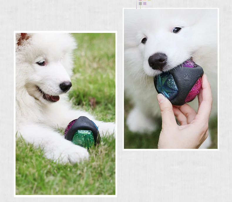 Dog toy ball - Image 4