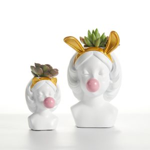 Succulent Plant Pot Interior Decoration Flower Pot
