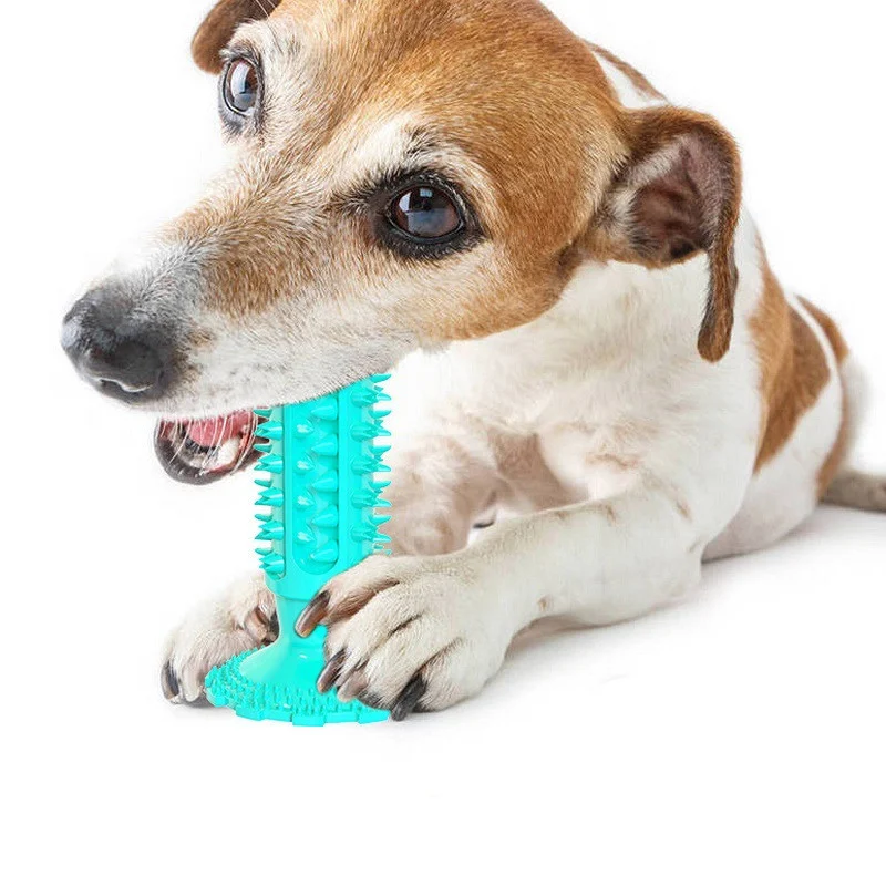 Teeth Cleaning Dog Toothbrush Sucker Molar Stick Dog - Image 2