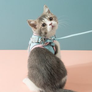 Cat Traction Rope Chest Strap to Prevent Breaking Free