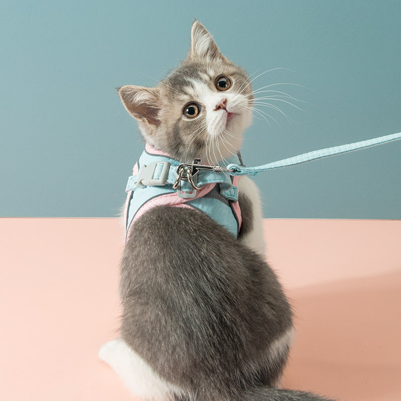 Cat Traction Rope Chest Strap to Prevent Breaking Free