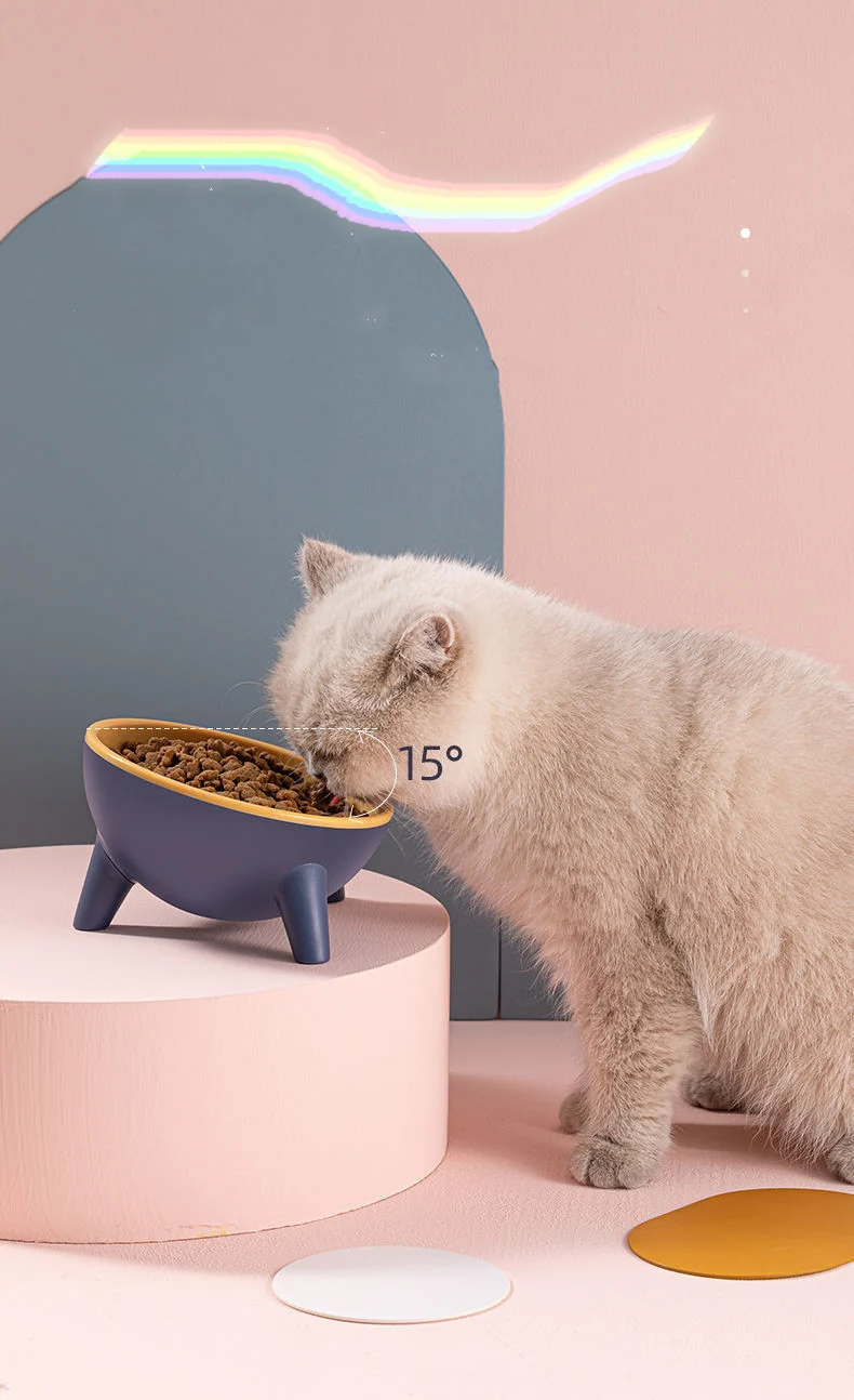 Cat Dog Bowl with Stand Pet Feeding Food Bowls Dogs - Image 7