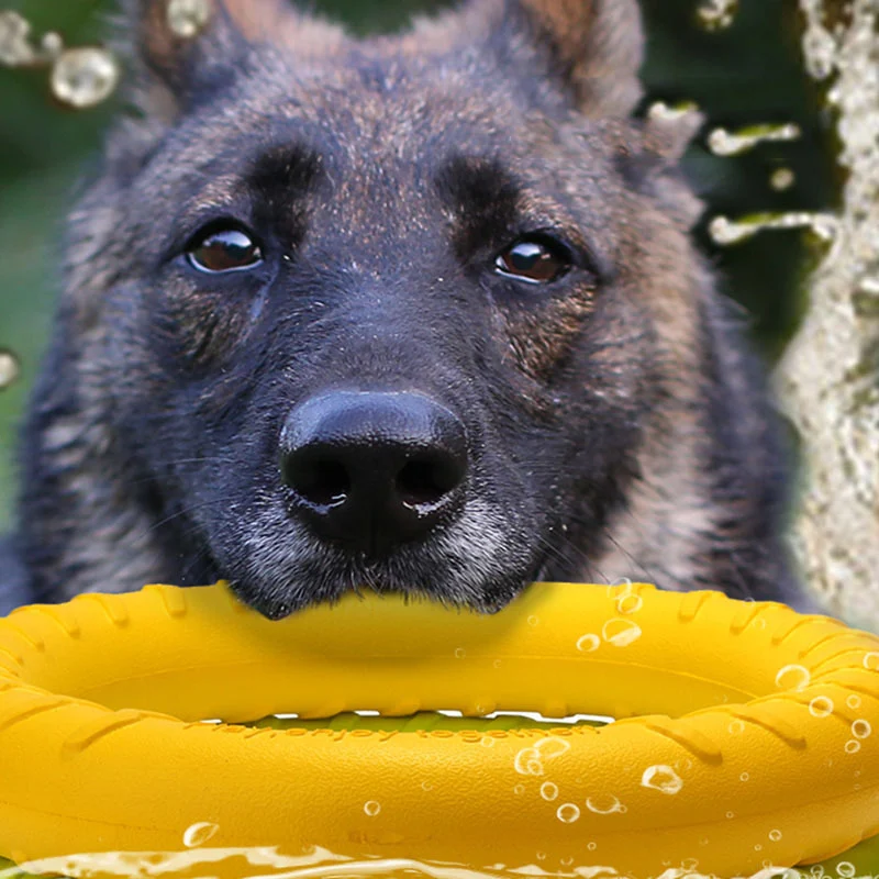 Pet Dog Training Toy Pull Ring - Image 2