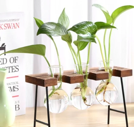Glass Wood Vase Table Desktop Hydroponics Plant - Image 6