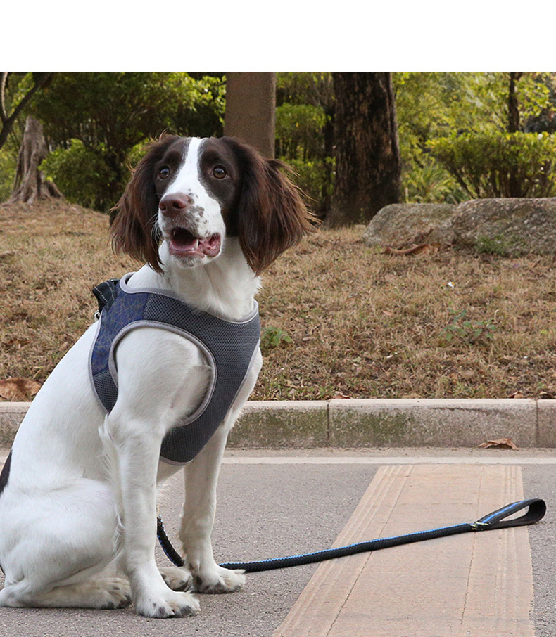 Dog Leash Vest Pet Harness Bullfight - Image 5