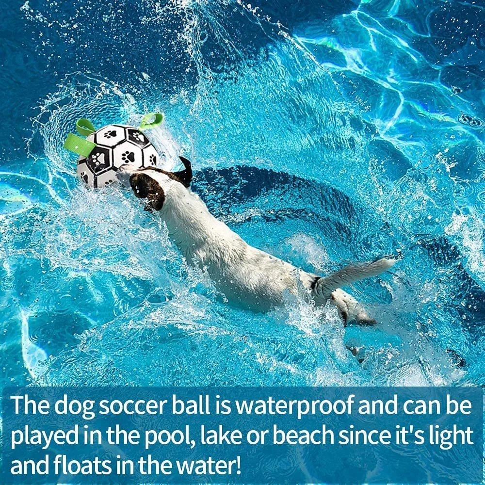 Interactive Dog Football Toy Soccer Ball Inflated - Image 6