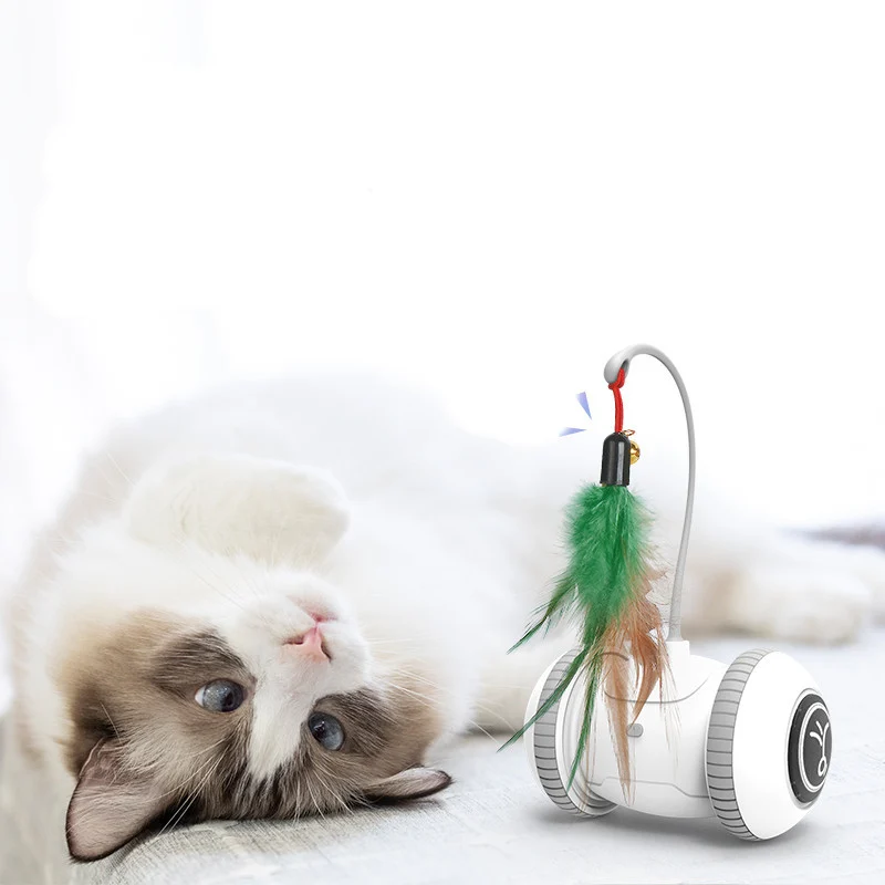 Interactive Cat Toy with Interchangeable Heads Pet - Image 4