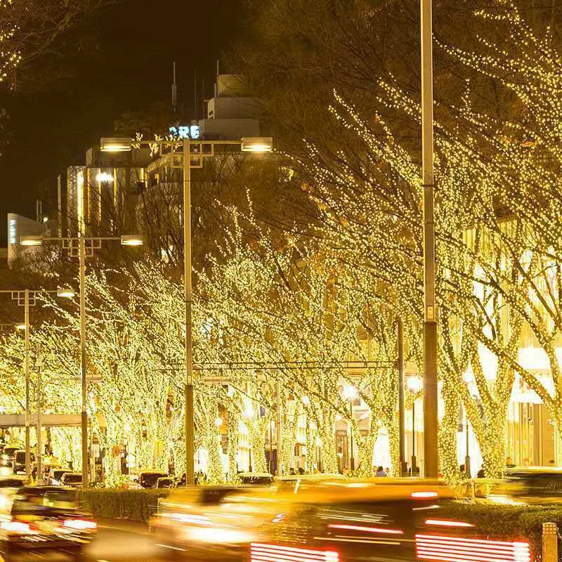 LED Lighting Chain Outdoor Street Decoration - Image 2