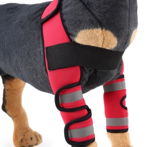 Pet Dog Knee Pads Support Brace 1pair
