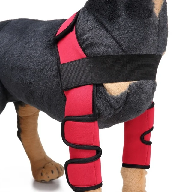 Pet Dog Knee Pads Support Brace 1pair - Image 5