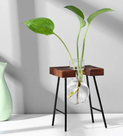 Glass Wood Vase Table Desktop Hydroponics Plant