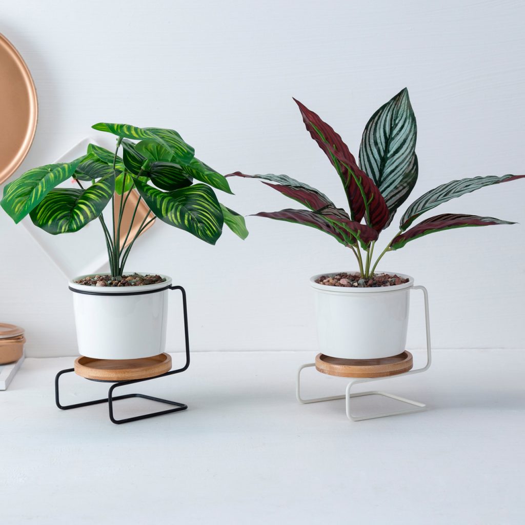Geometric Ceramic Green Plant Pot