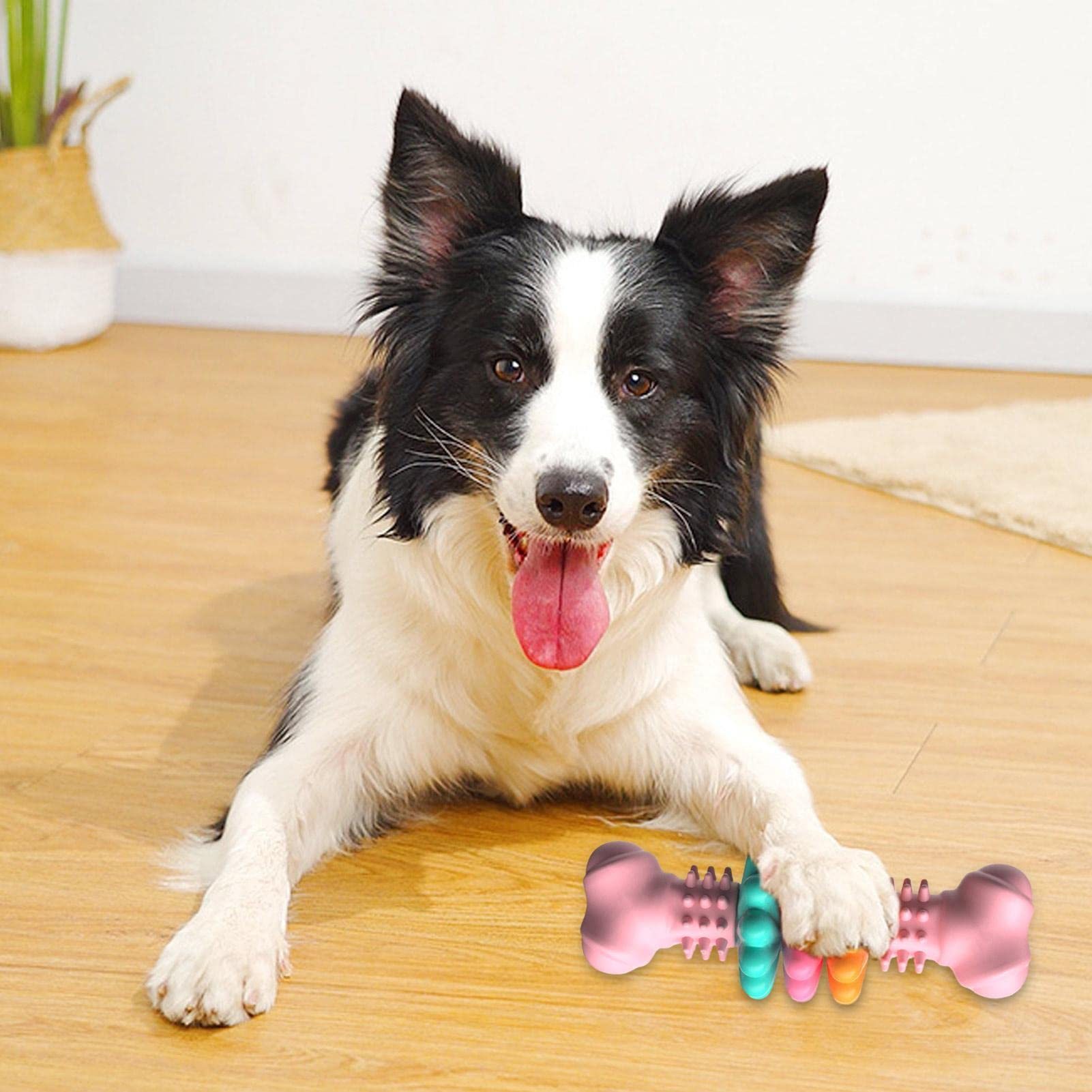 Dog Chew Toy Dog Bone Type Dogs Teeth Cleaning Toys - Image 6