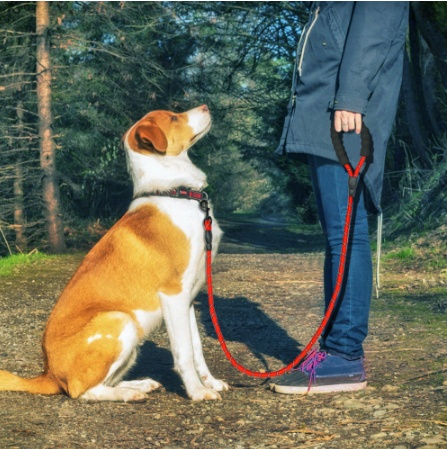 Reflective Dog Leash Nylon Pet Dog Leash Rope for Small