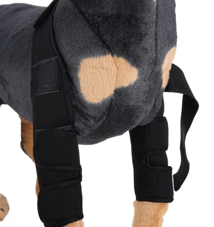 Pet Dog Knee Pads Support Brace 1pair - Image 3