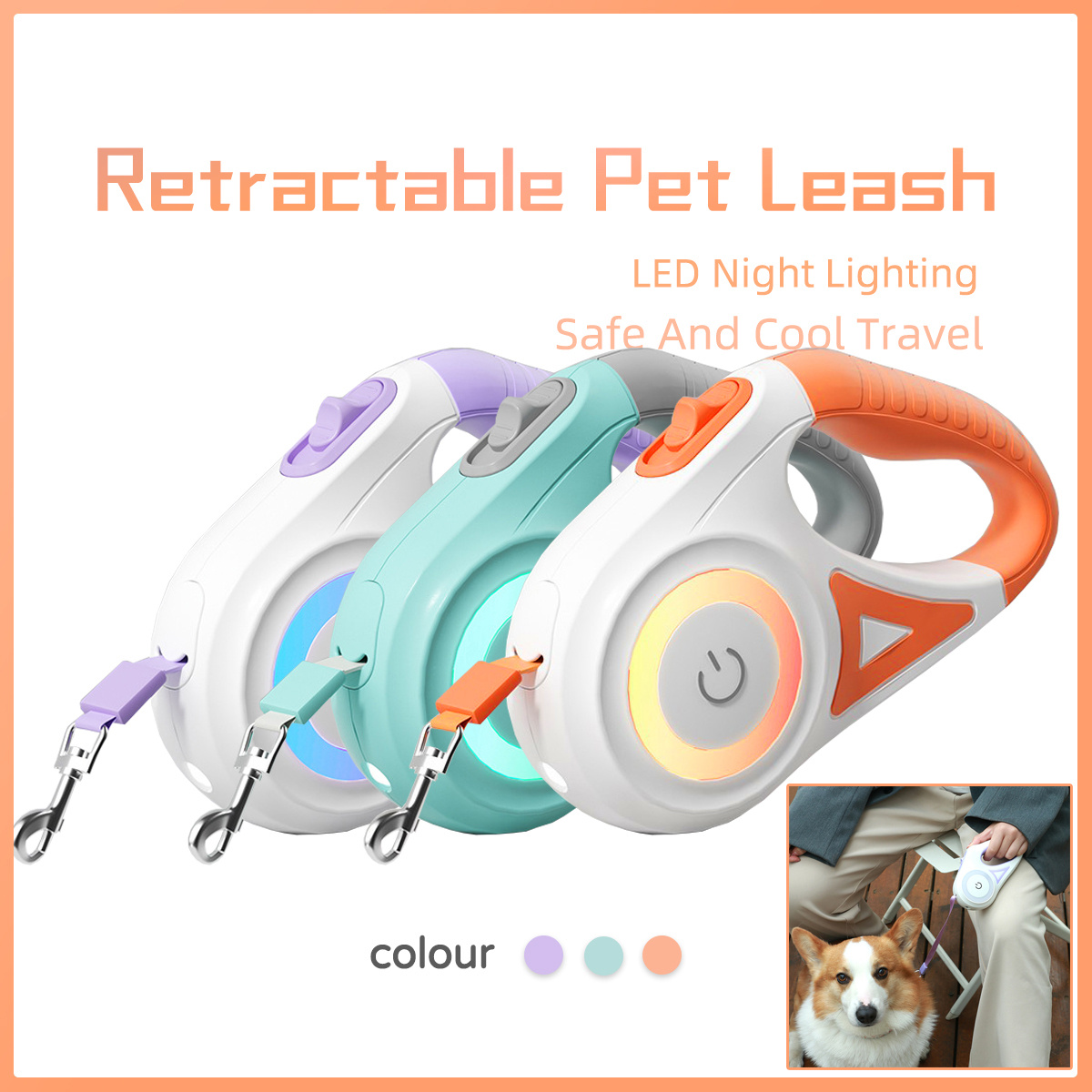 Dog Leash Retractable Leash and Dog Collar Spotlight - Image 5