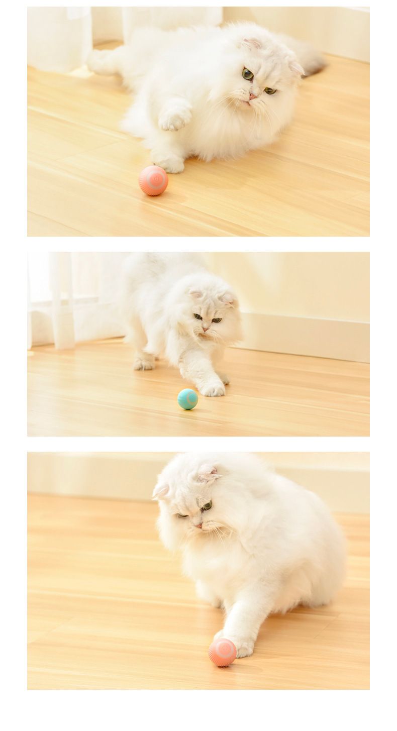 Cat Gravity Intelligent Rolling Ball Tease Toy Pet - Image 4