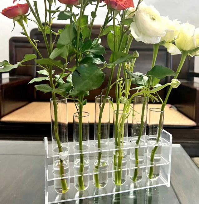 Test Tube Clear Glass Vase for Plant Bottle Flower Pot - Image 7
