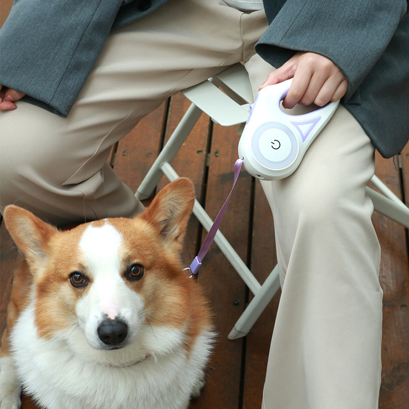 Dog Leash Retractable Leash and Dog Collar Spotlight - Image 4
