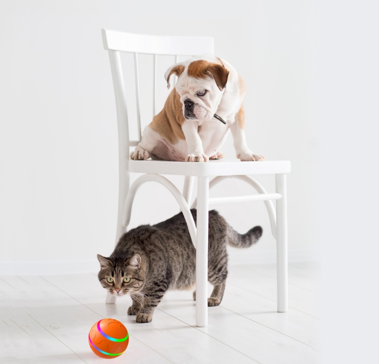 Pet Cat Wicked Ball Toy Intelligent Ball USB Cat Toys - Image 3