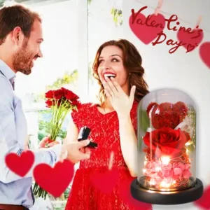 Valentine's Day Gift for Girlfriend Eternal Preserved