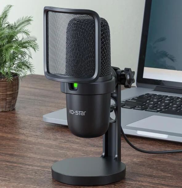 Notebook Computer Game Voice Live Broadcast Desktop USB