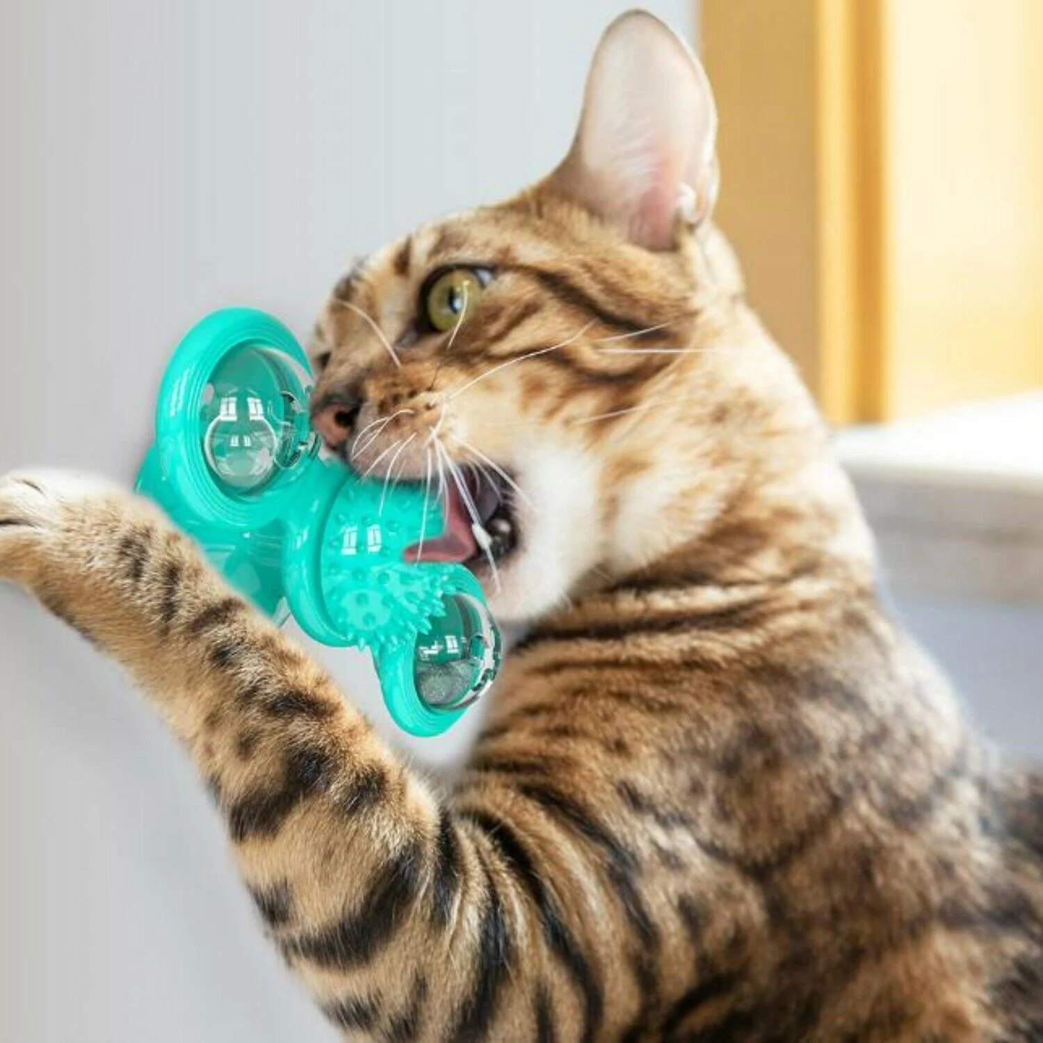 Windmill Cat Toys Cute Rotating Interactive Cat Toy - - Image 4