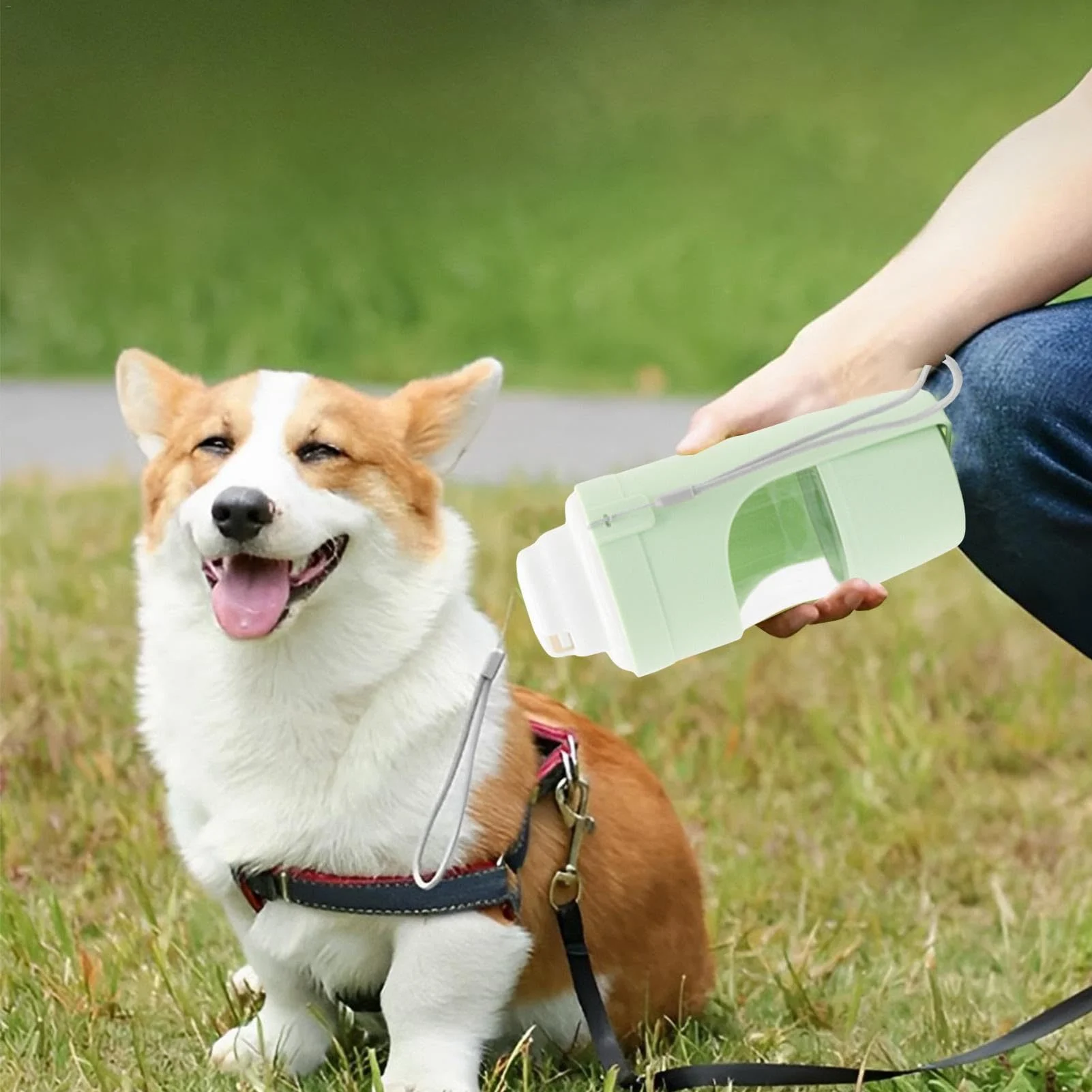 2 in 1 Travel Dog Water Bottle Pet Water Dispenser - Image 5