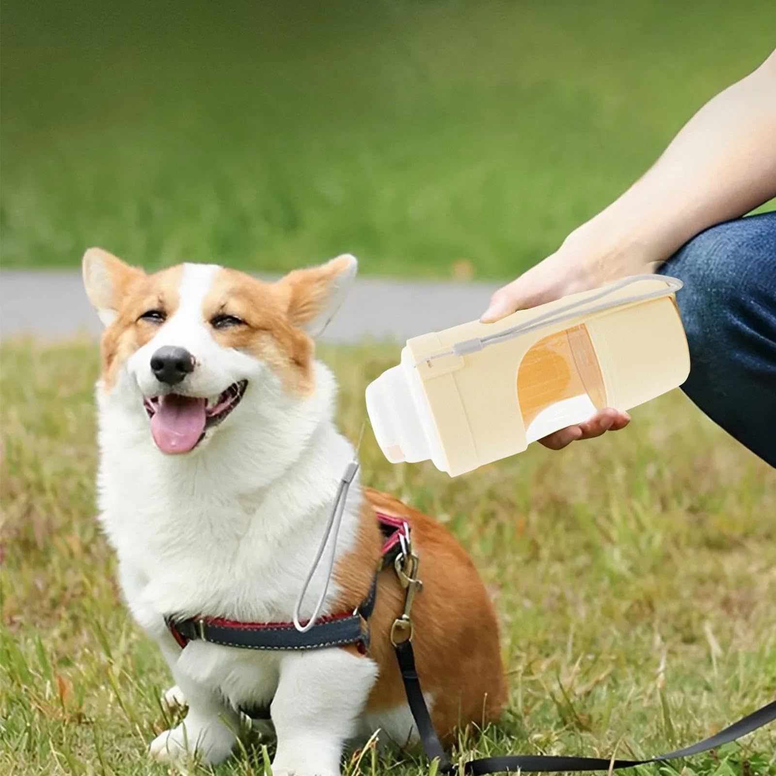 2 in 1 Travel Dog Water Bottle Pet Water Dispenser - Image 4
