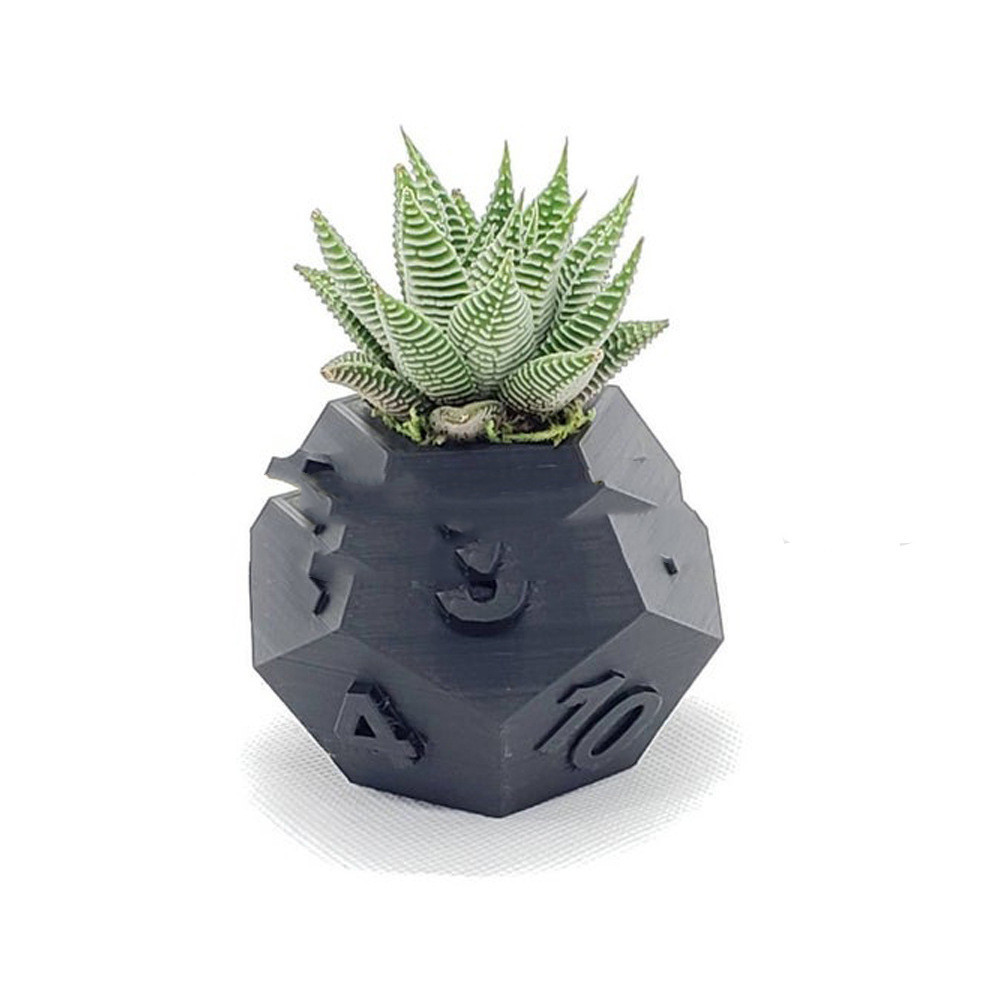3D Printed Plant Pot Table Top RPG Dice Succulent - Image 9