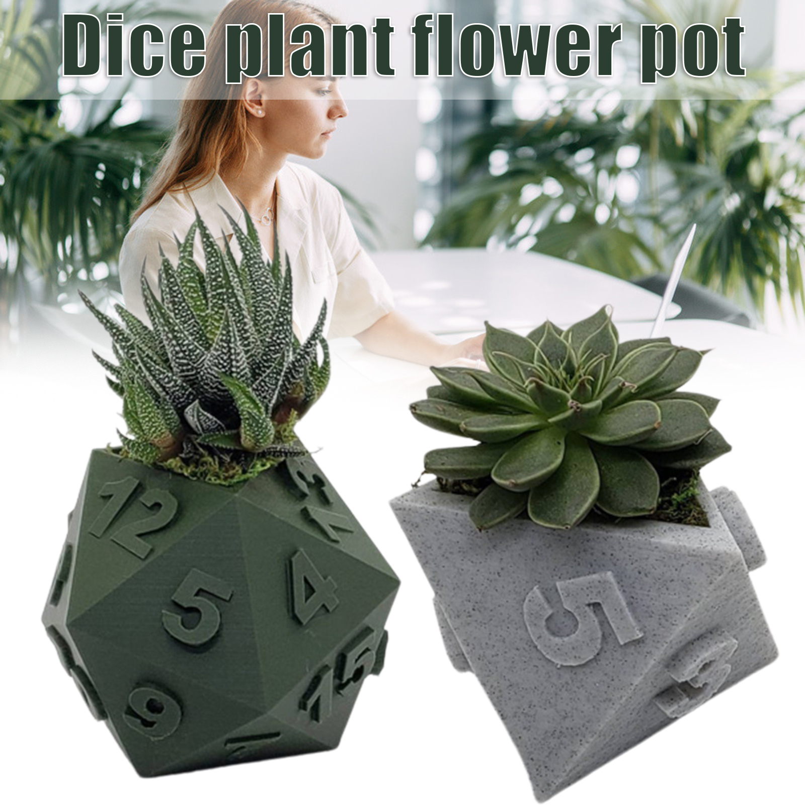 3D Printed Plant Pot Table Top RPG Dice Succulent - Image 4
