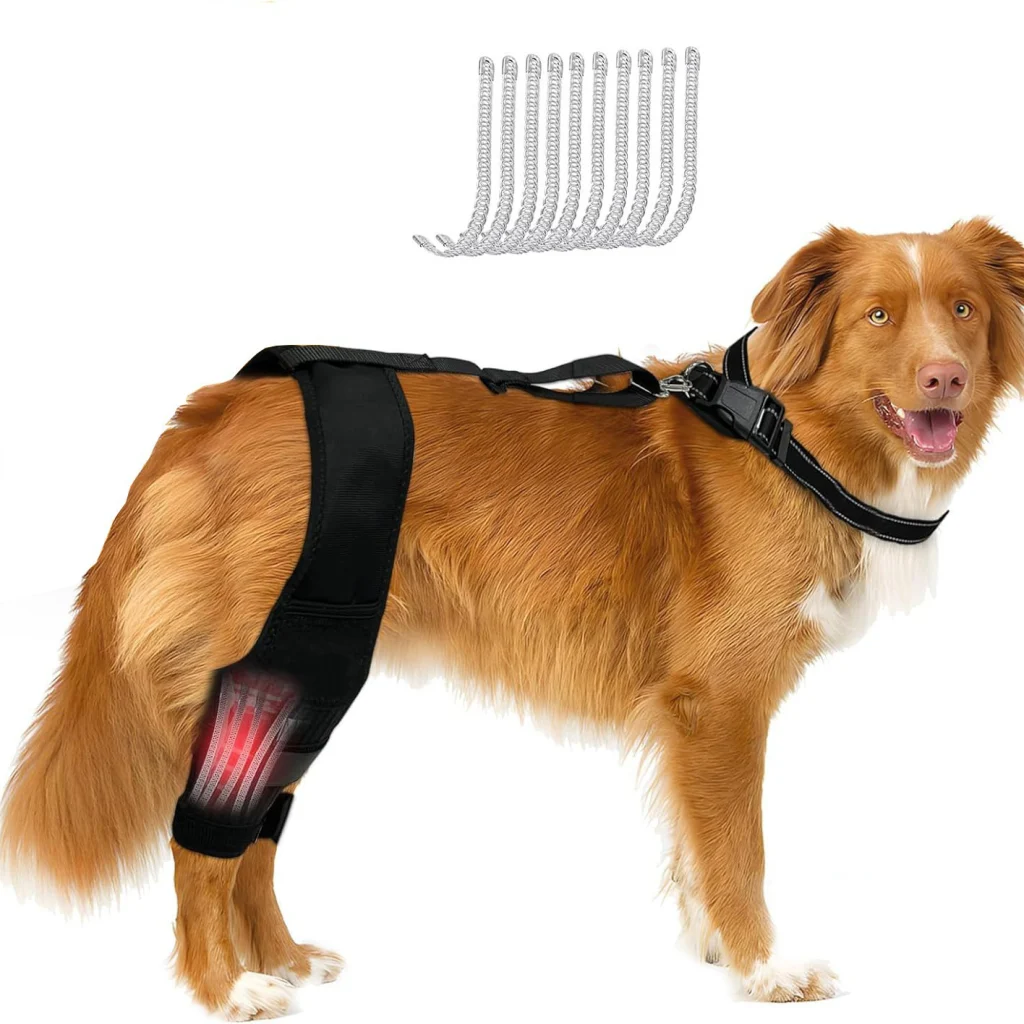 Leg Protector for Dogs Knee Brace Auxiliary Belt Joint
