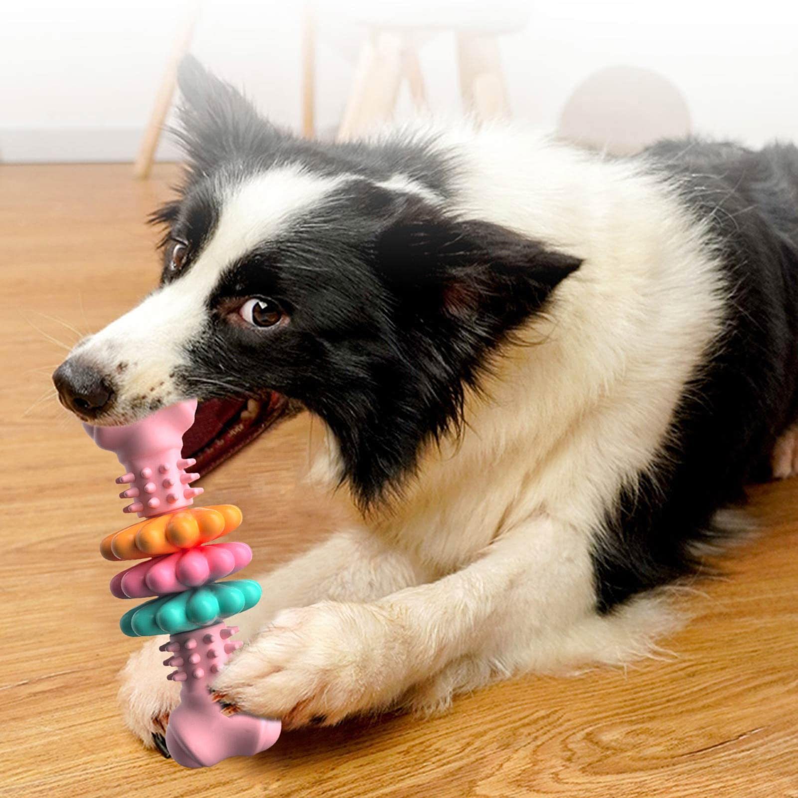 Dog Chew Toy Dog Bone Type Dogs Teeth Cleaning Toys - Image 7