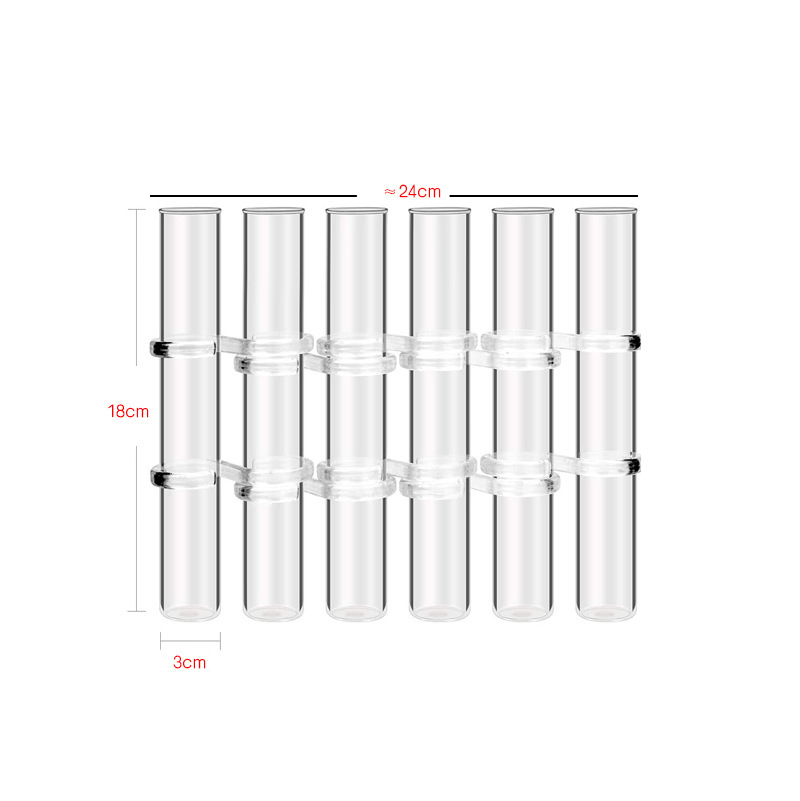 Test Tube Clear Glass Vase for Plant Bottle Flower Pot - Image 4