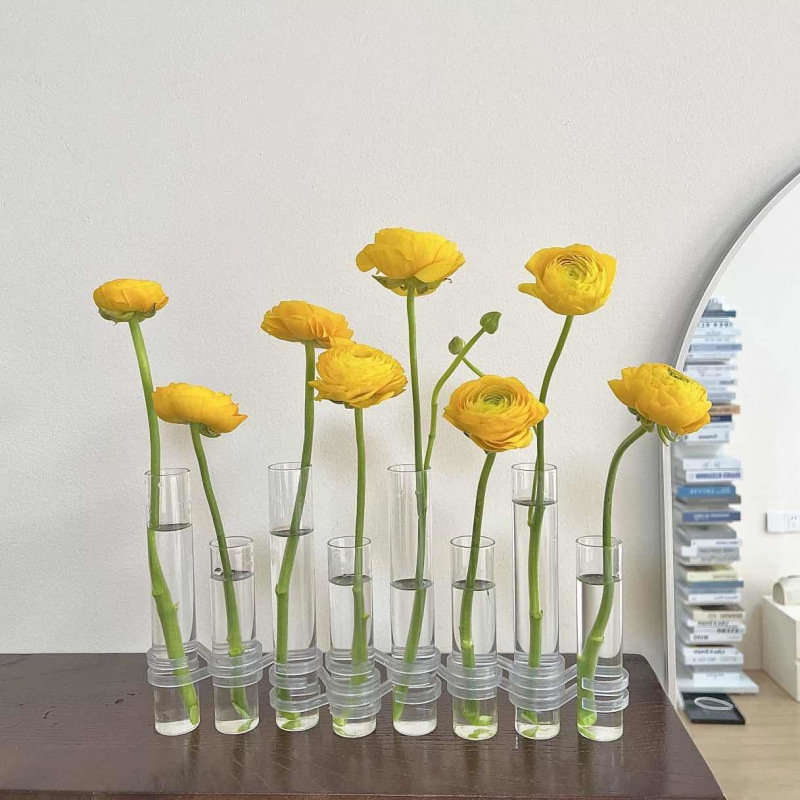 Test Tube Clear Glass Vase for Plant Bottle Flower Pot - Image 8