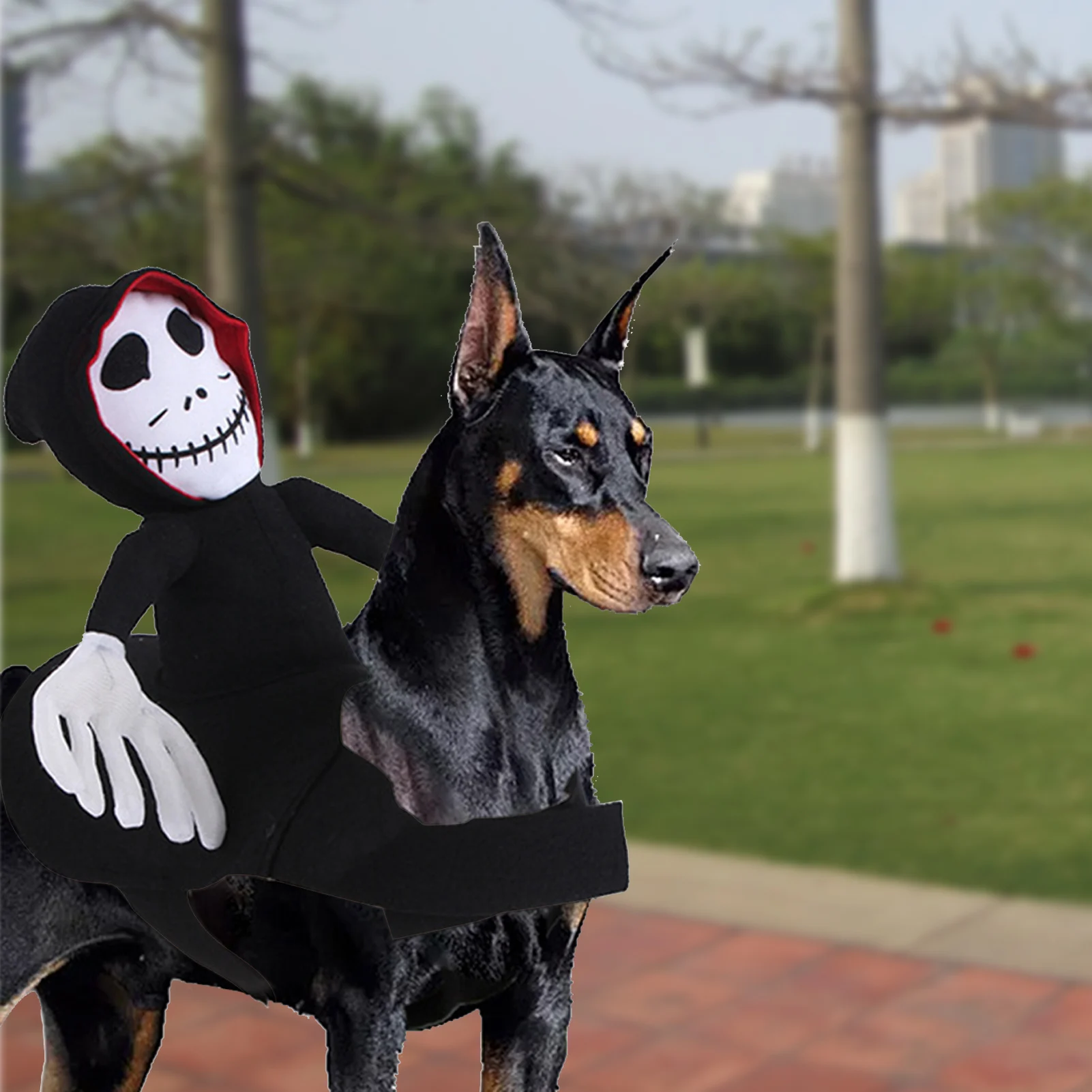 Funny Pet Halloween Costume Halloween Pet Decoration - Image 5