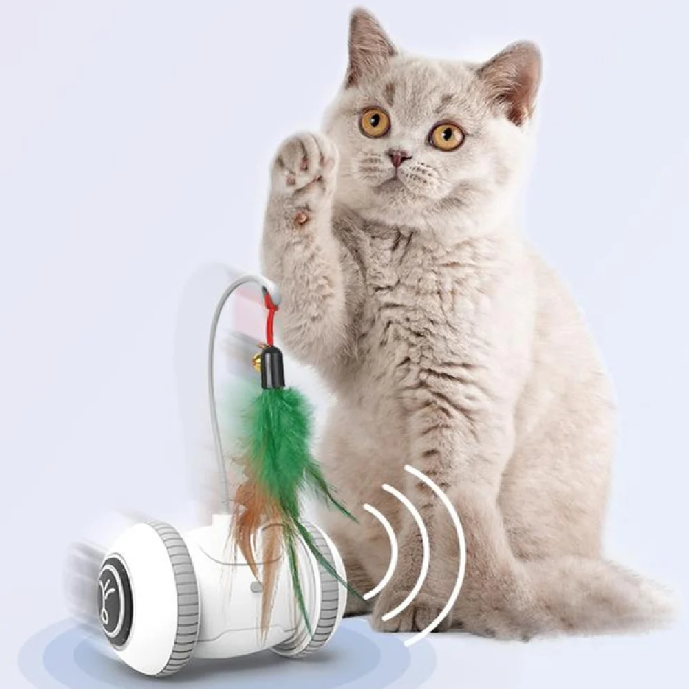 Interactive Cat Toy with Interchangeable Heads Pet