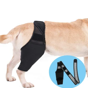 Pet Knee Pads for Joint Injury Recovery Legs Protector